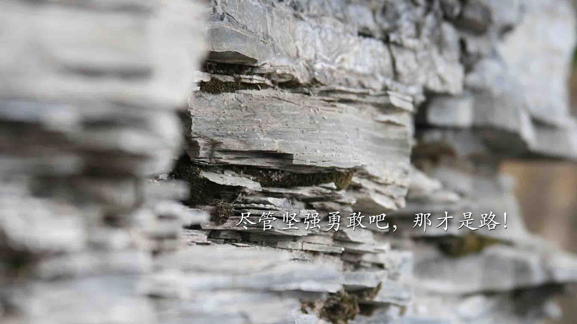 im体育官方平台-_生态园赛：绿色生态环境中的独特人士运动_，什么是绿色生态园