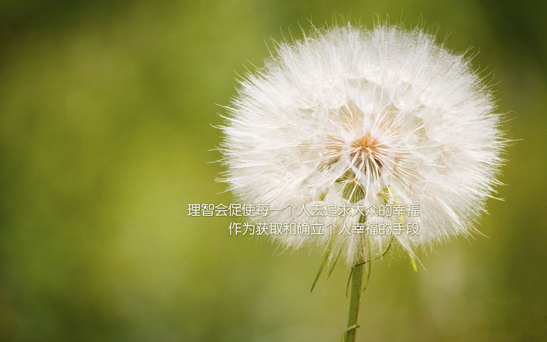 im体育平台官网-“最佳战术：教练的秘密武器揭晓”，最佳教练图片