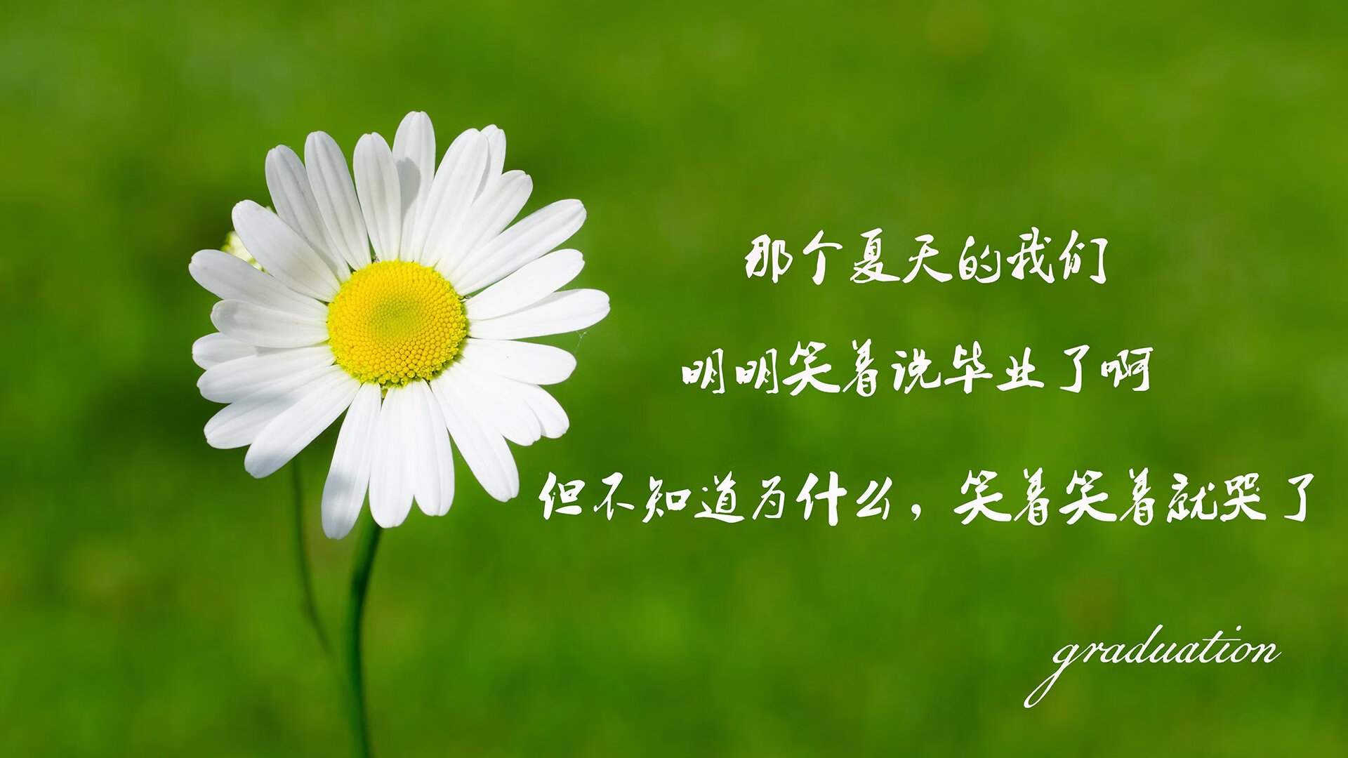 tiyu-im官方网站-变形金刚极限飞盘，科技与运动的新潮流，变形金刚ox飞过山