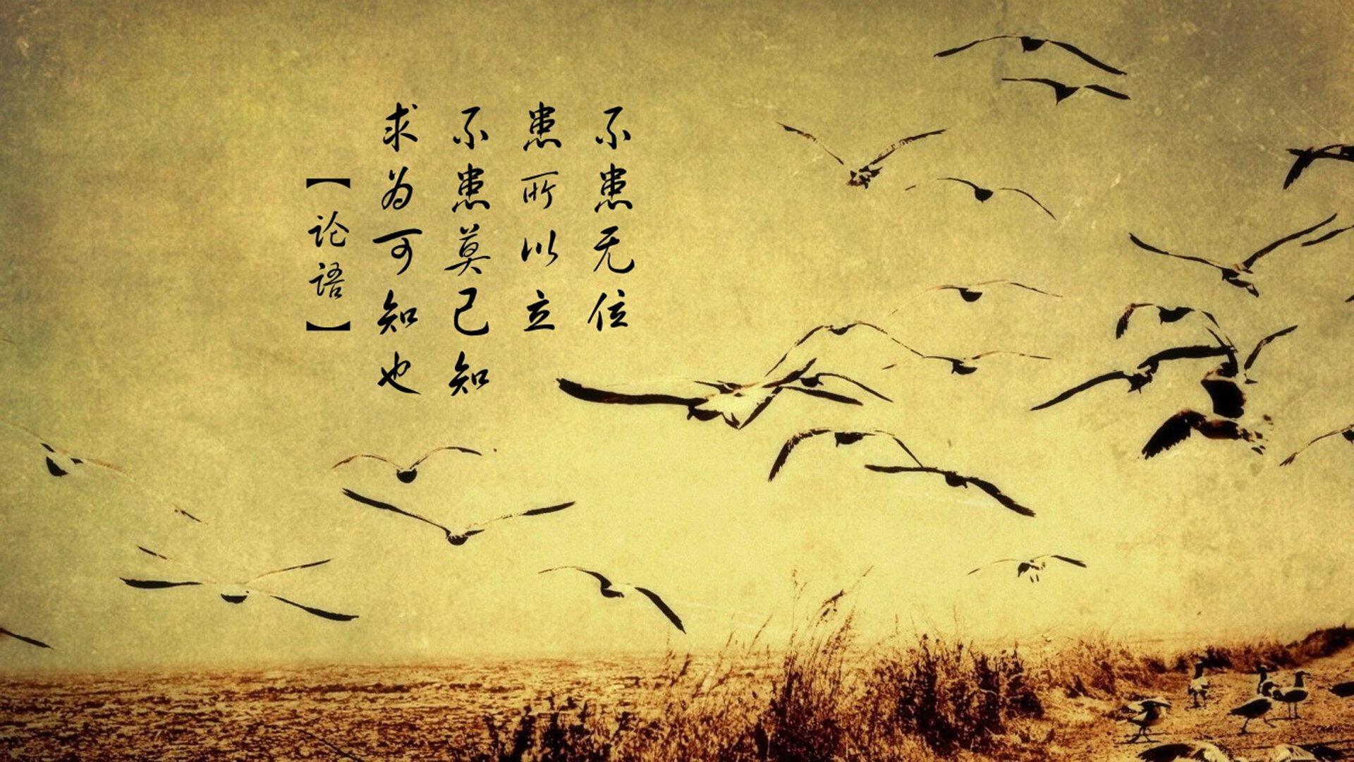 IM体育中国区官网-意甲激烈，专家点评关键数据，意甲专家分析