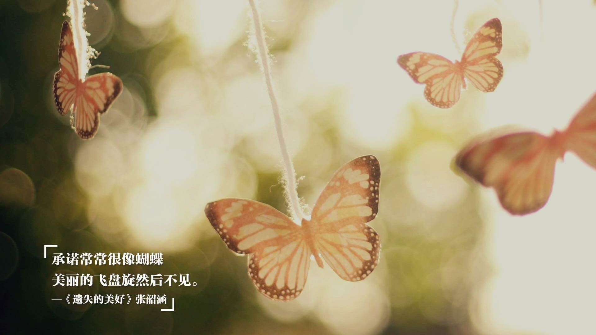 im电竞app官网-女性健身课程受欢迎，提升女性健康意识，女性健身效果图