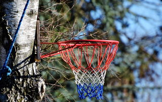 IM Sports-低位进攻在现代篮球中的生存空间，低位进攻在现代篮球中的生存空间包括