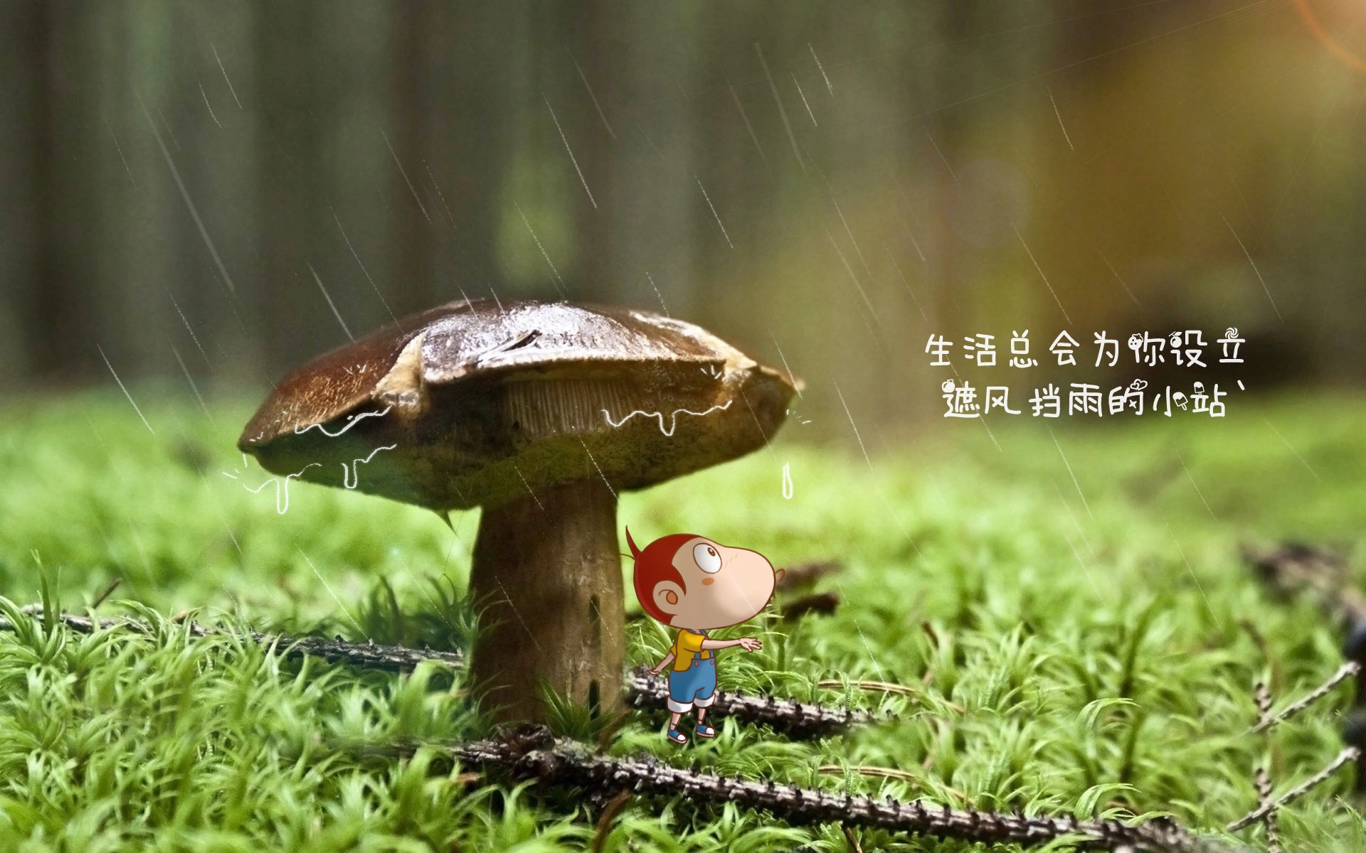 im体育官方平台-公牛教练团队开发个性化训练系统，公牛王朝的教练