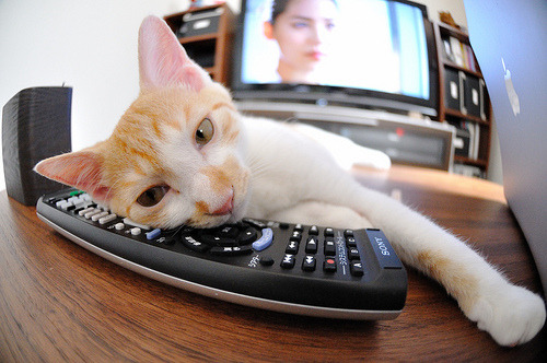 澳大利亚男篮在奥运会小组赛中折桂，实力再升级