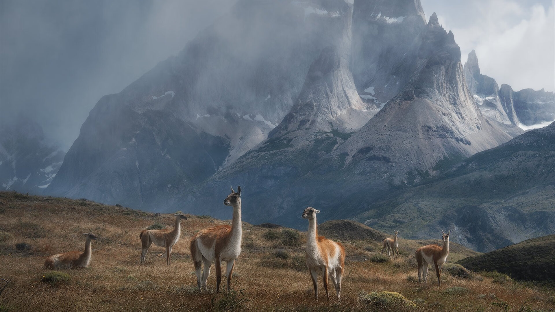 im电竞官方下载-跳水难度升级韩国勇于挑战，跳水 韩国