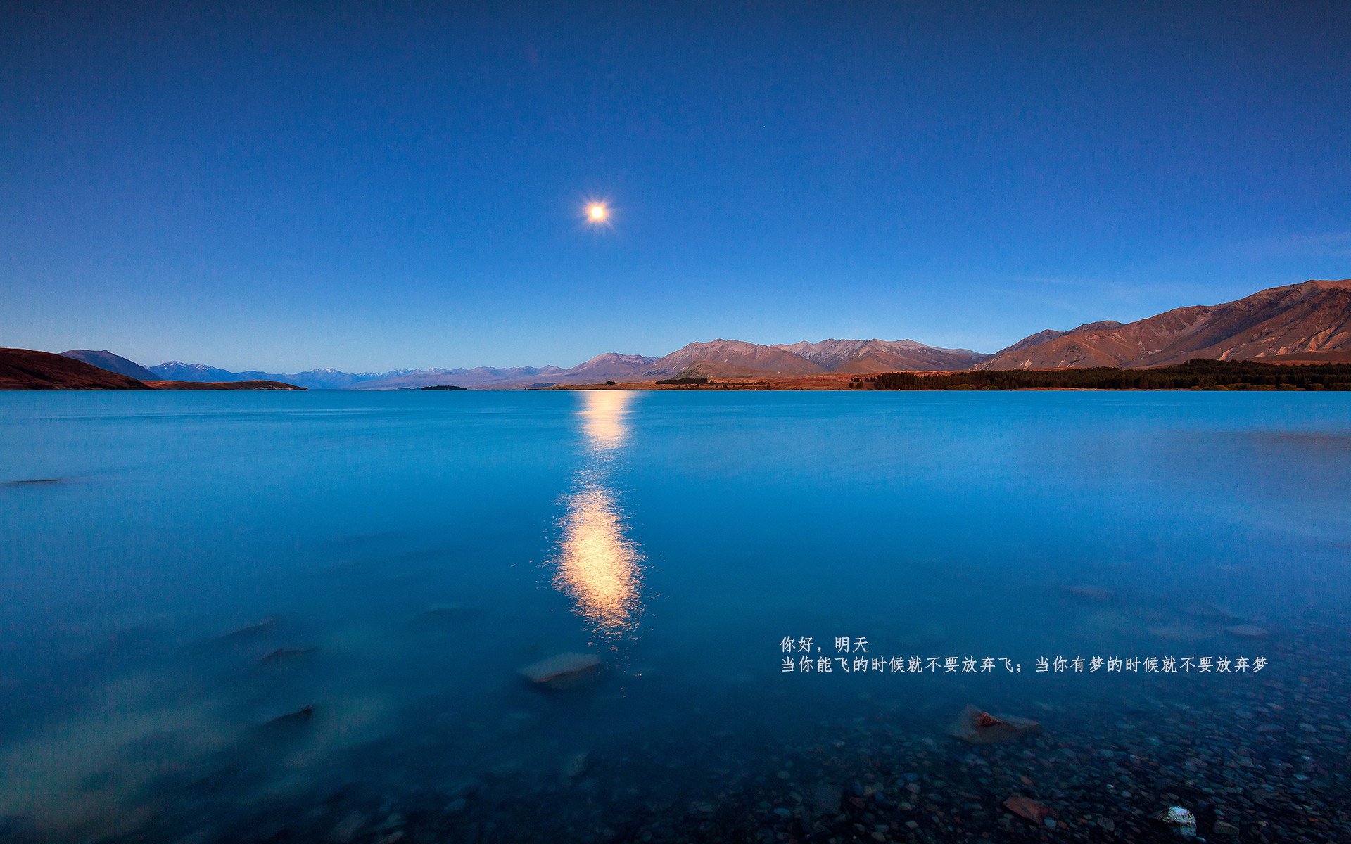 im体育平台官网-阿莱克西赛后：冲刺感觉非常顺畅，阿莱克西亚历代记